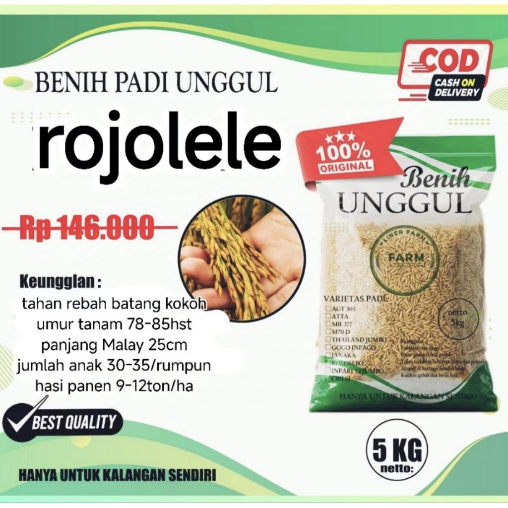 benih padi rojolele kemasan 5kg.