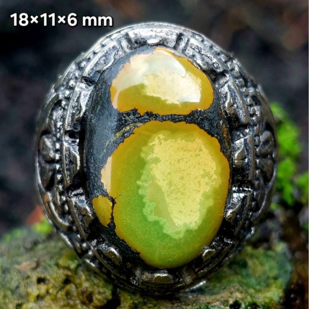 Natural Pirus Hubei Hijau Ceplok Loro Unik