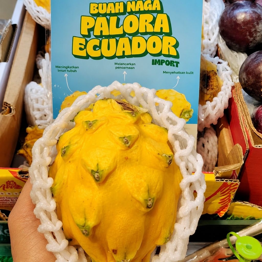 Buah naga kuning import Ekuador super premium import -+2,5 kg