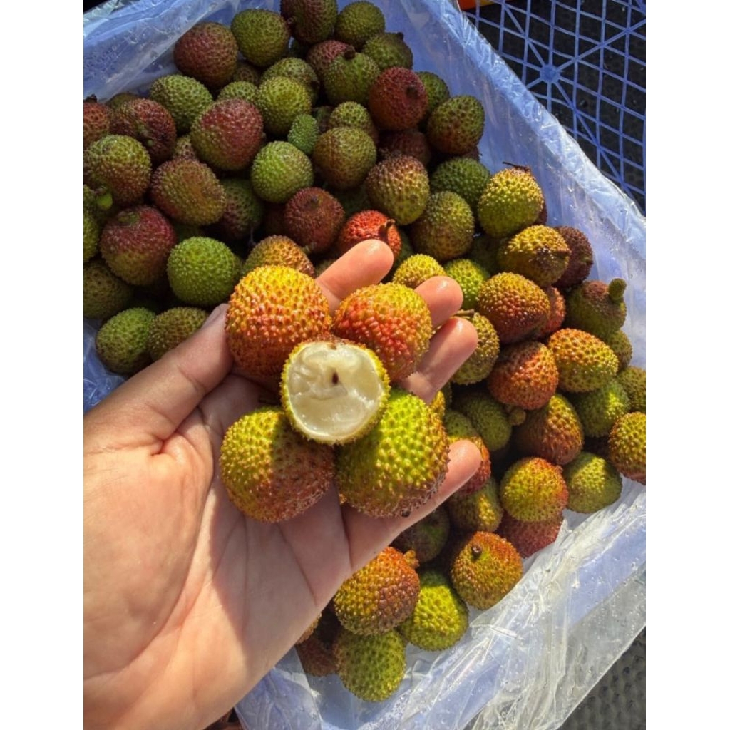 buah leci segar fress 1kg