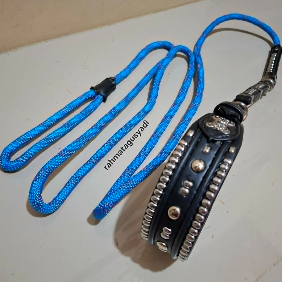KALUNG ANJING & TALI TUNTUN OTOMATIS UK 35 - 40 CM ASLI ACC PETIK 2