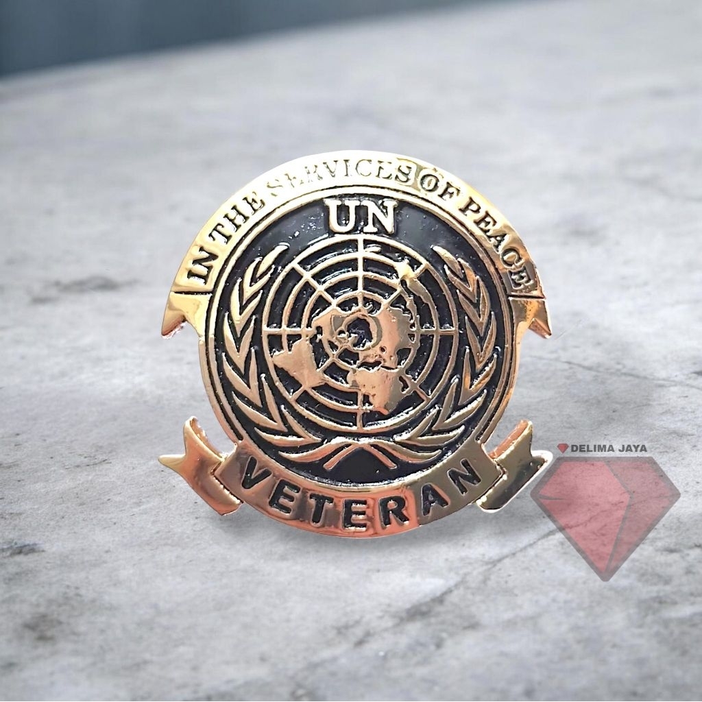 Brevet / Wing PDH Veteran UN