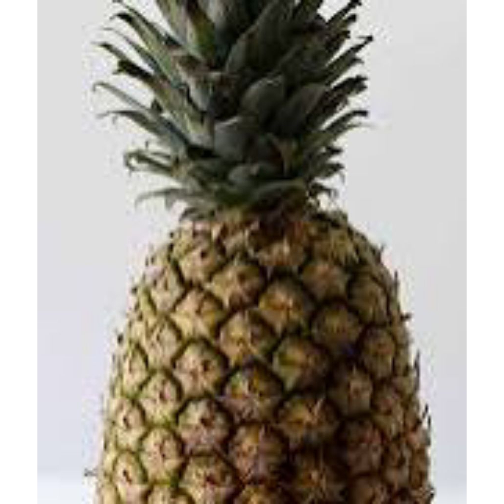 nanas tigaraksa