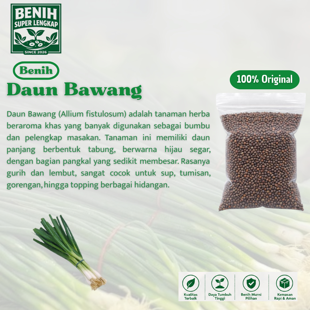 ( 1 Butir ) Benih Biji Daun Bawang Dataran Rendah | Bawang Daun | Allium Fistulosum