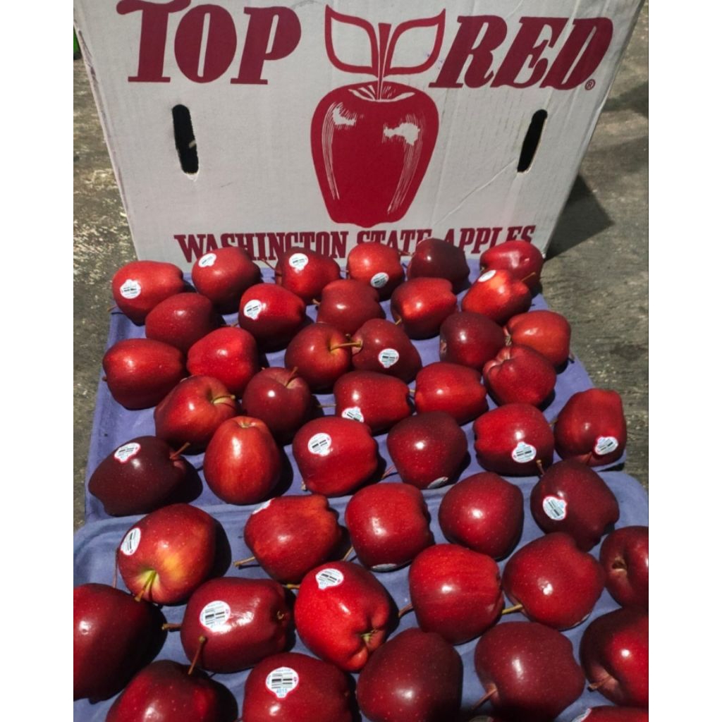 Apel merah 1kg