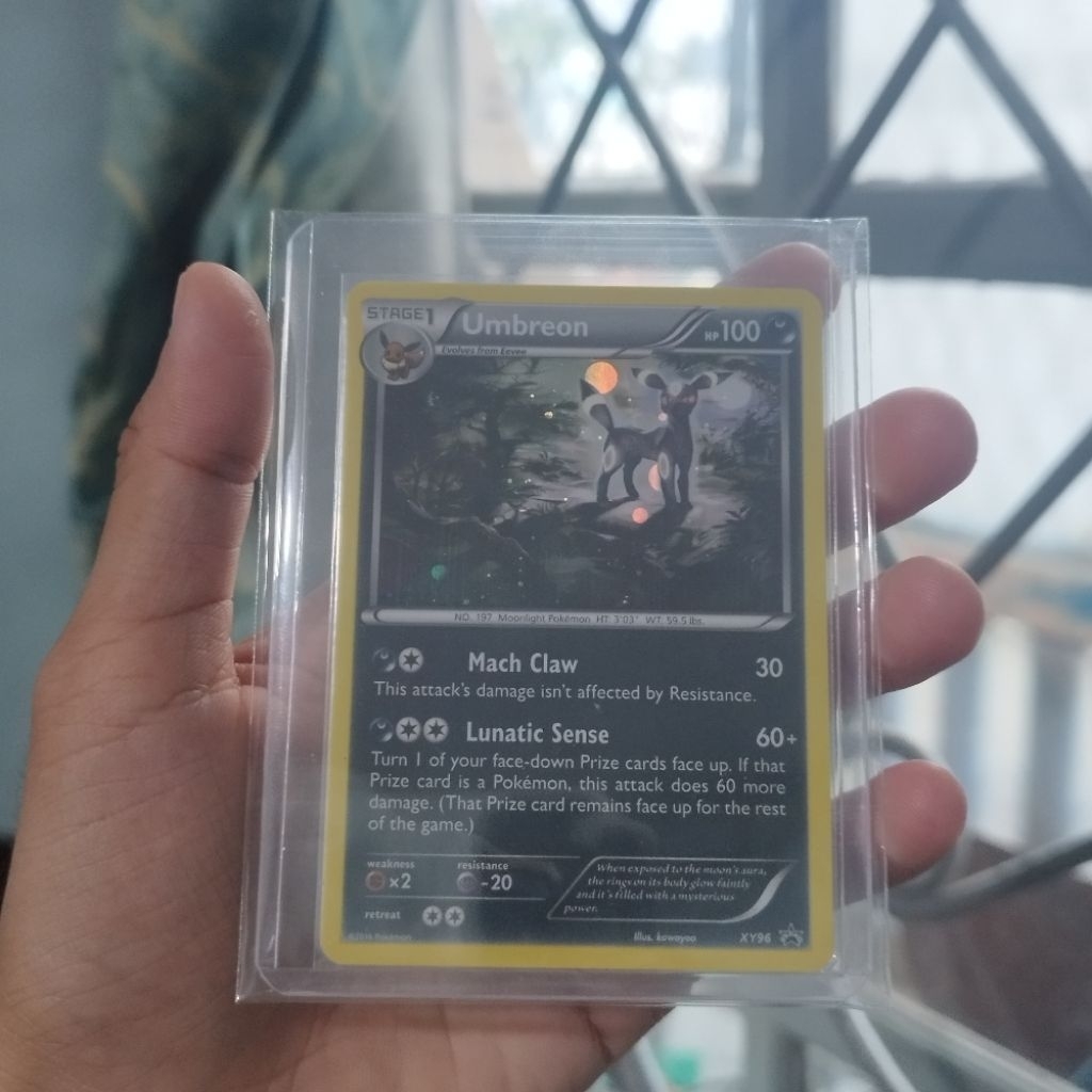 Kartu Pokemon Umbreon XY96 PROMO English