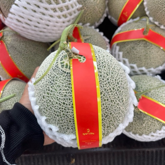 Buah Melon Godend Hachimitsu / Buah Melon Jepang Daging Orange Manis / Pcs