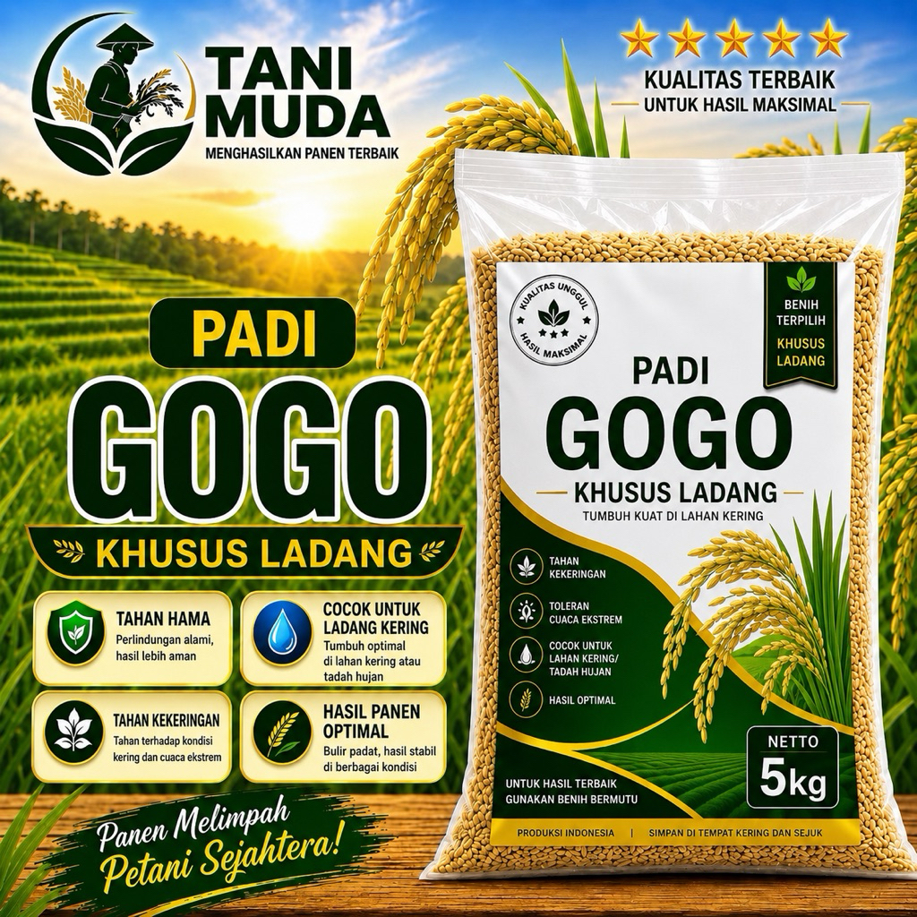 PADI UNGGUL  GOGO LADANG KHUSUS GOGO KEMASAN 5KG