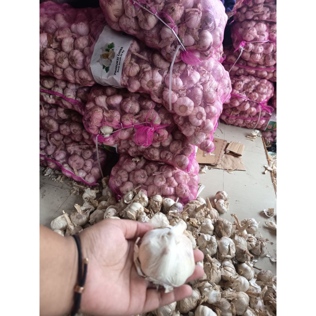 Bawang Putih kotor 1kg