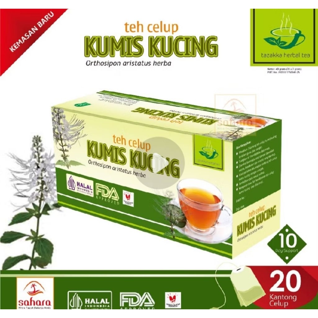 teh celup kumis kucing obat batu urine/teh kumis kucing