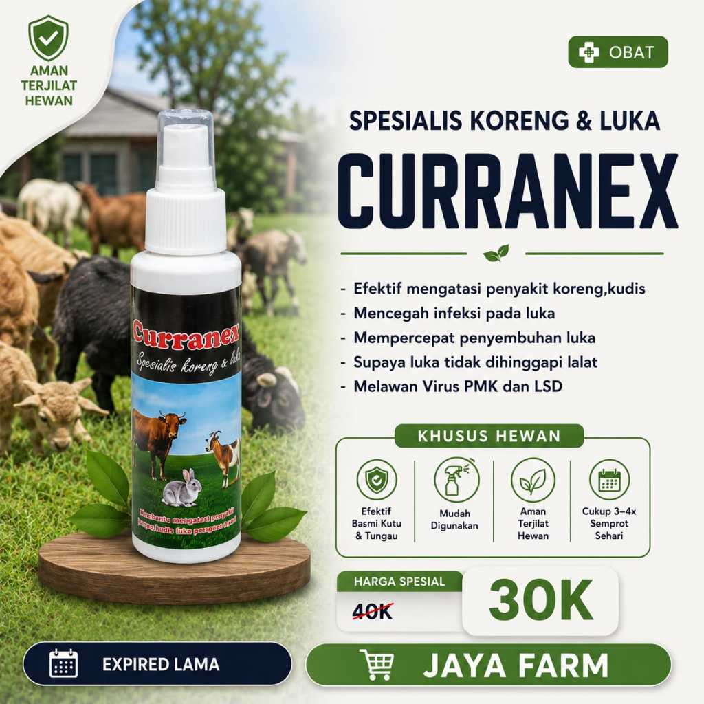 OBAT KORENG SCABIES KUDIS LUKA SAPI KAMBING DOMBA KELINCI