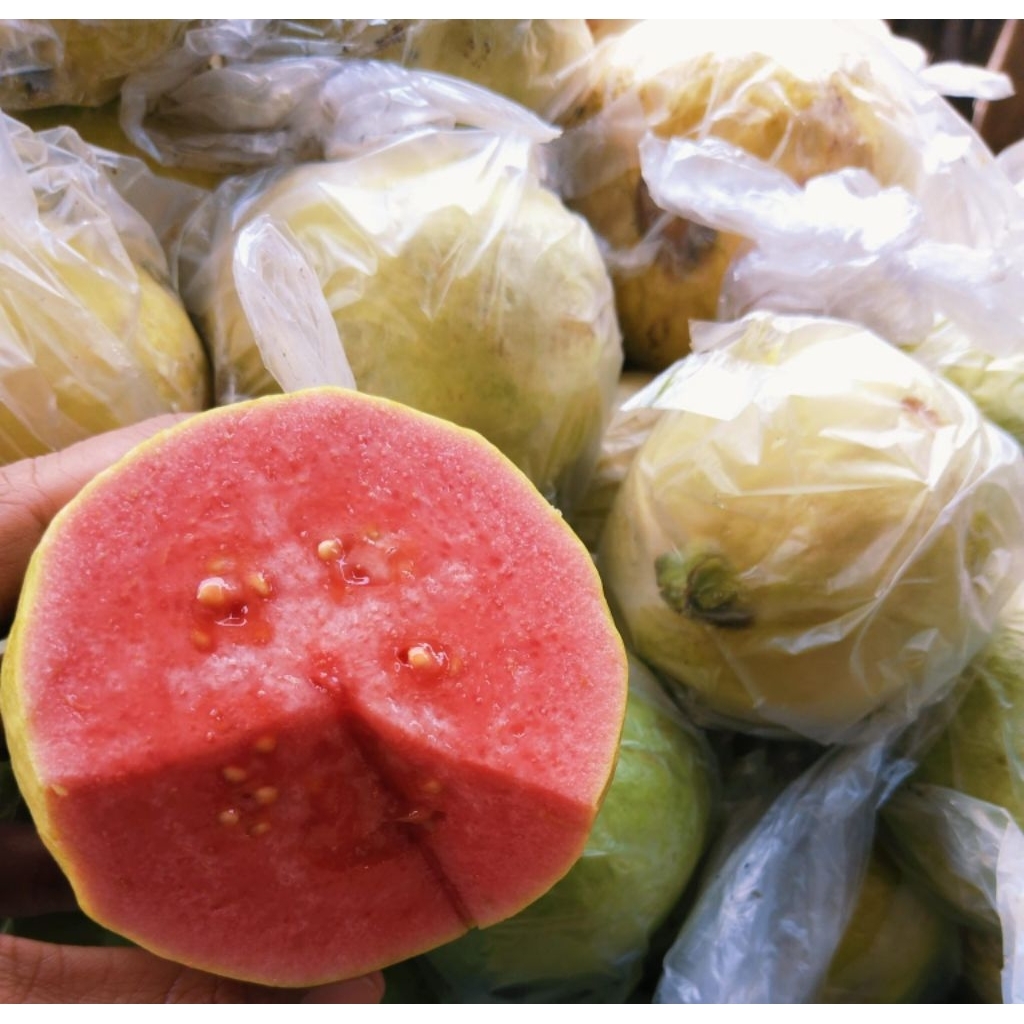 JAMBU BIJI MERAH 1KG
