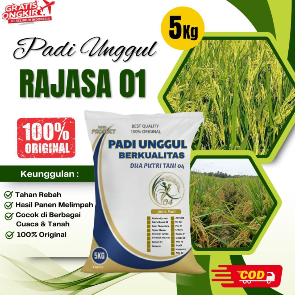 Bibit Padi Unggul RAJASA 01 Kemasan 5kg