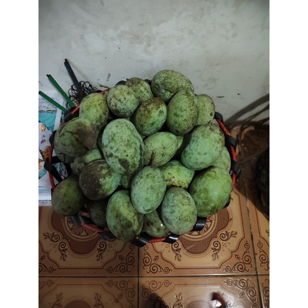 mangga manalagi madu