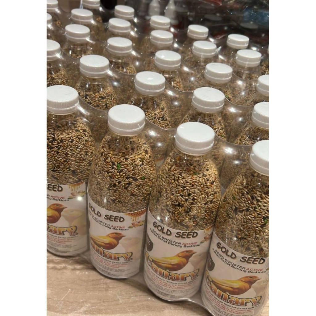 gold seed kenari pakan burung canary gold seed canary botol