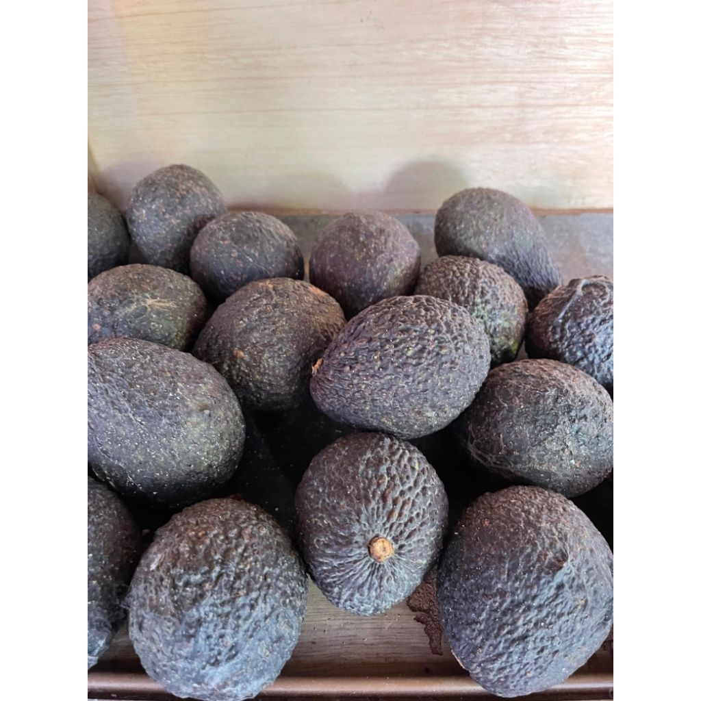 Alpukat Hass/AvoHass - 1 Kg (Matang)