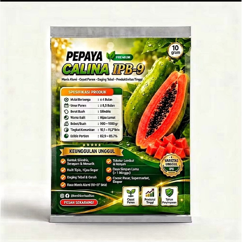 (BIBIT) Benih pepaya California bibit pepaya f1 benih buah unggul 20gr