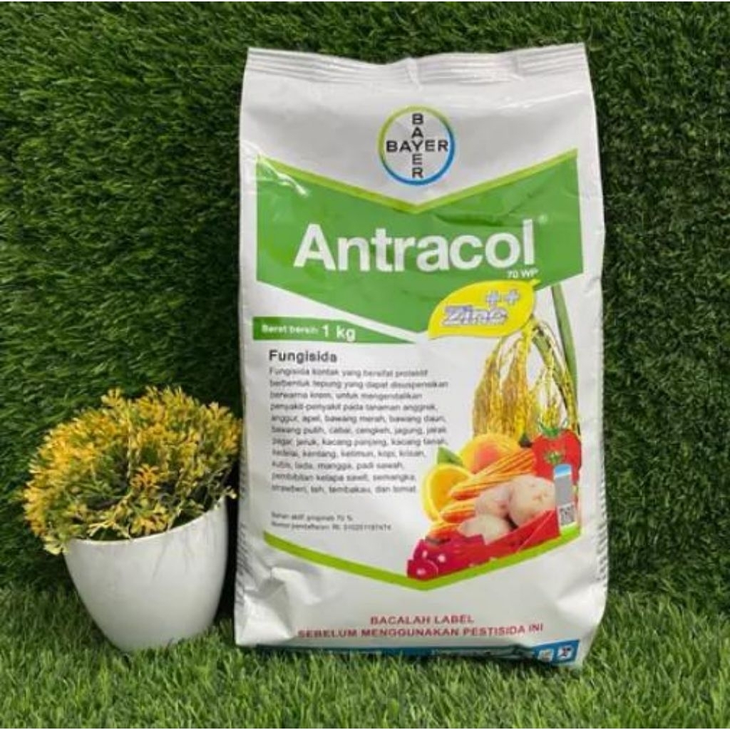 Antracol 1kg