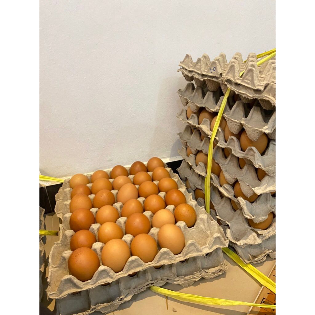 Telur ayam 1kg  sleman Tempel seyegan mlati cebongan yogyakarta