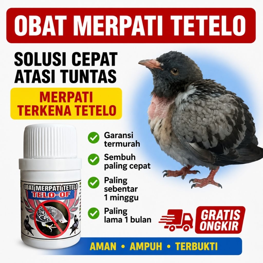 TELO-OF 100 PIL OBAT MERPATI TETELO paling ampuh vitamin suplement jamu merpati tengo