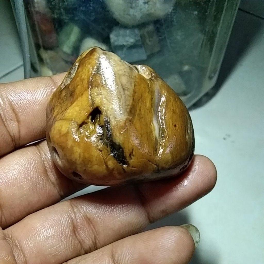 BATU FOSIL KAYU KABOA SANCANG