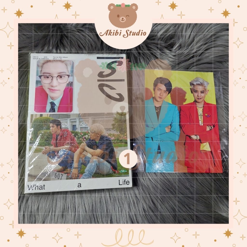 Album EXO SC Exo DMUMT Exo CBX Photocard Chanyeol Pc CY