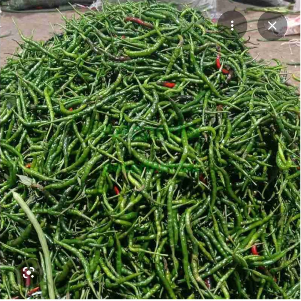 Cabe Hijau panjang fresh