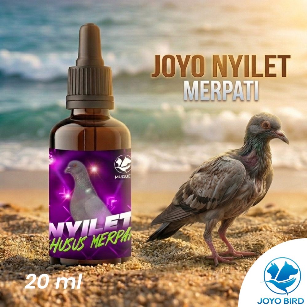 VITAMIN BURUNG MERPATI NYILET | OBAT BURUNG NYILET MERPATI | OBAT  BURUNG KURUS | PENAMBAH NAFSU MAK