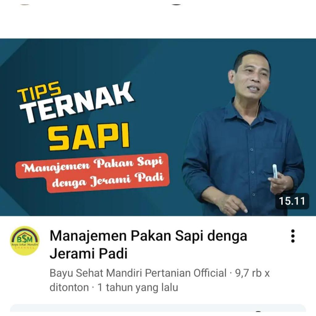 Ilmu Pak Bayu Diningrat ~ KALKULASI TERPADU SAPI - JERAMI 100%