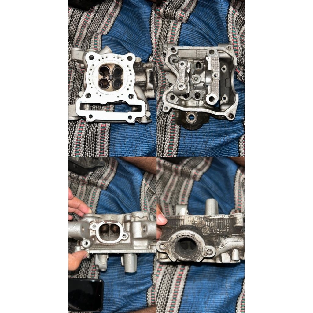 Head 2219 R15v3