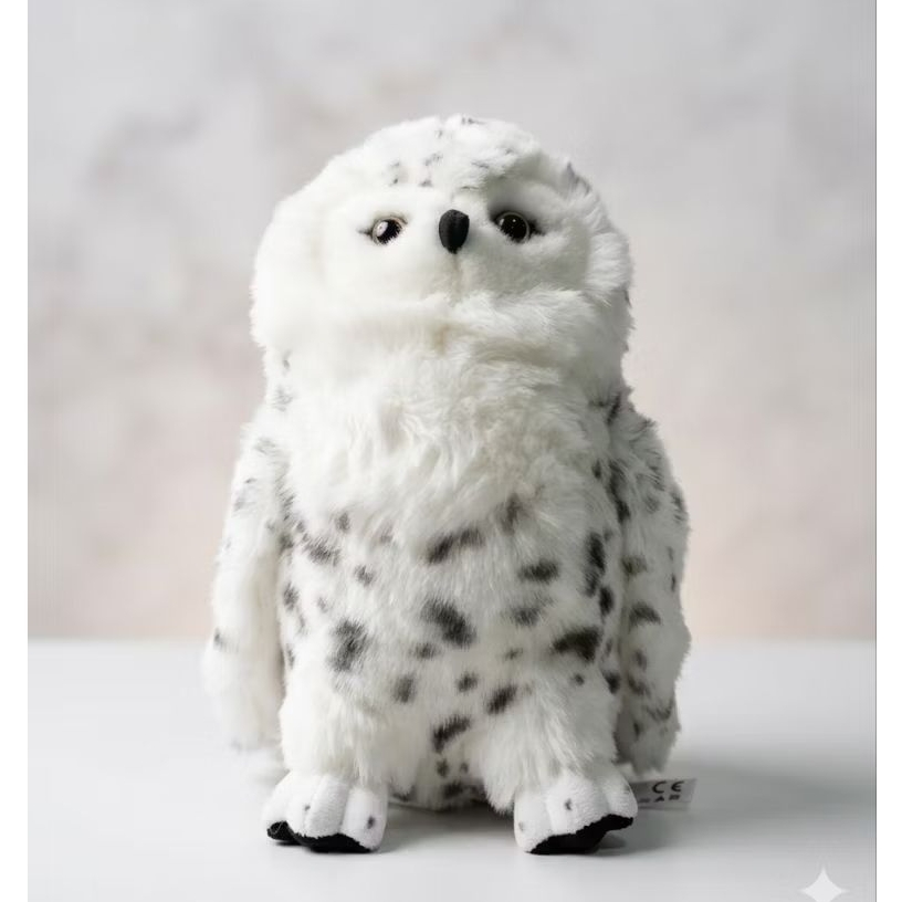 Snowy Owl Beppe Poland