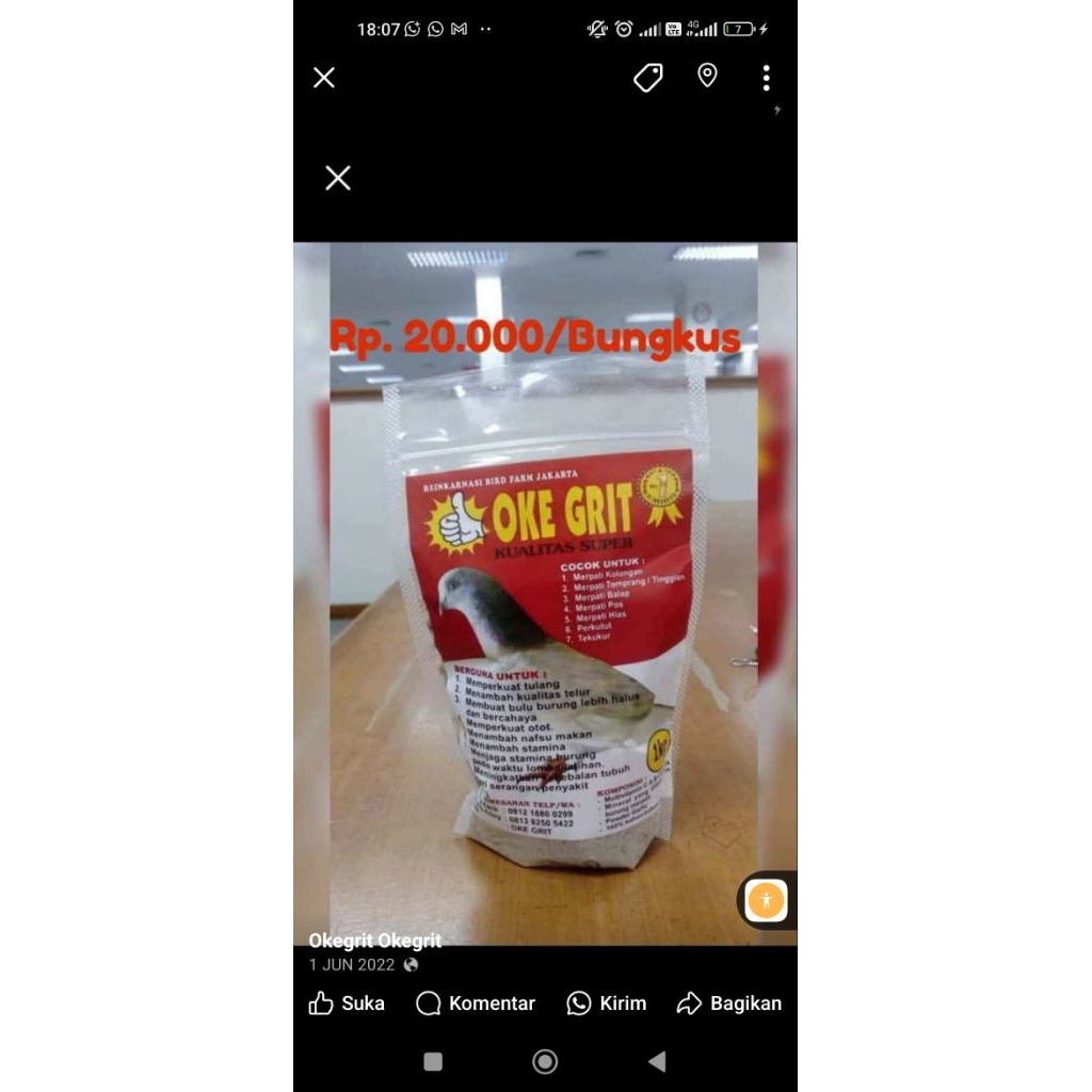 GRIT ASINAN BURUNG DARA