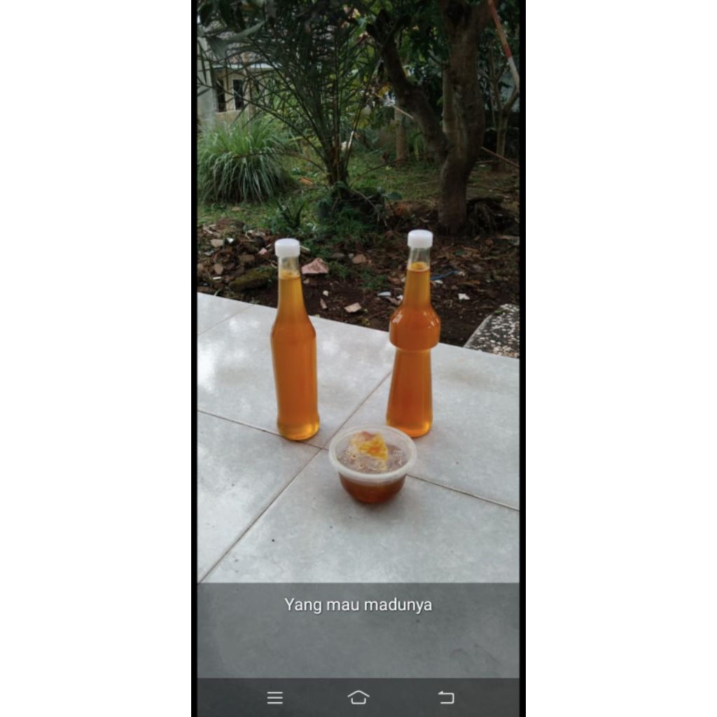 madu Odeng asli