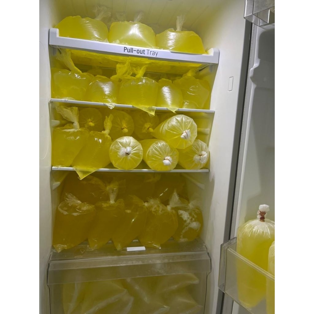 Putih Telur Fresh 1KG