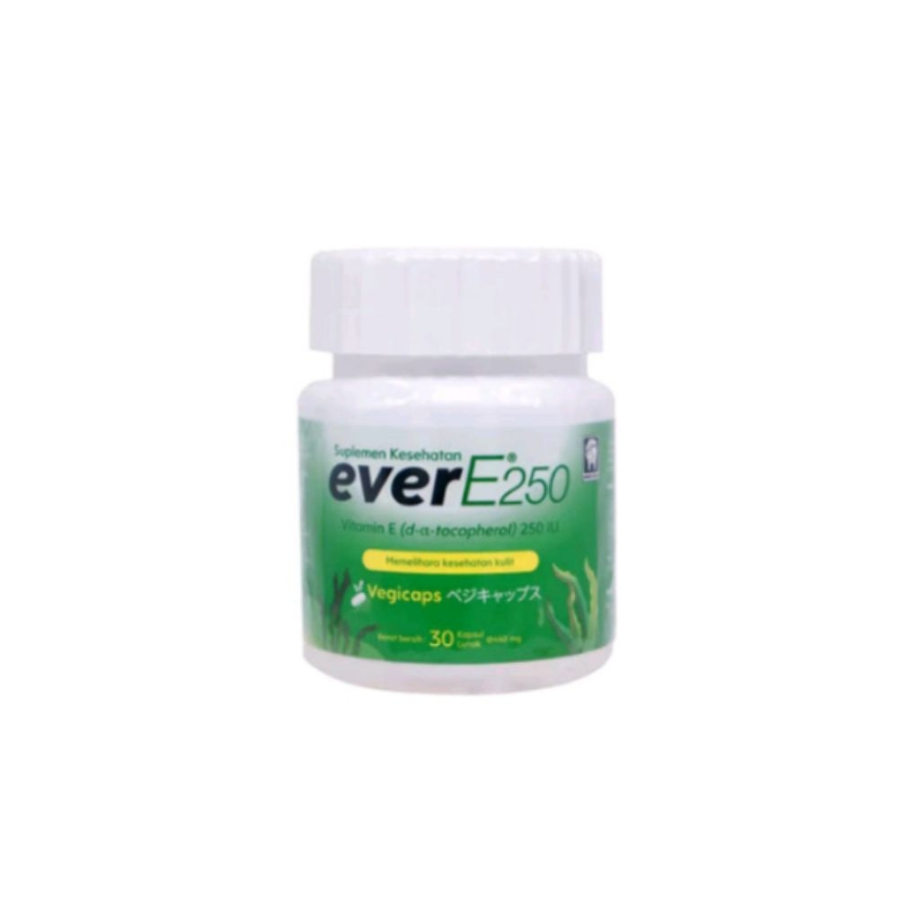 EVER E250