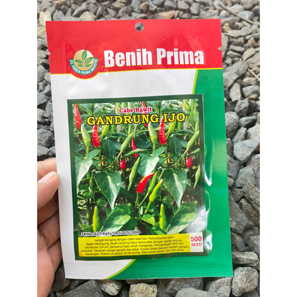 BENIH CABE RAWIT GANDRUNG IJO