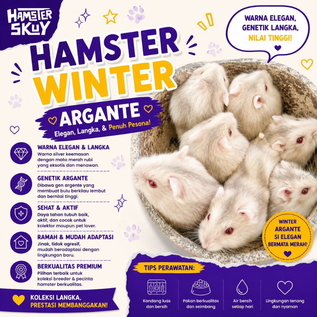 Hamster Winter Argante Sepasang [Gojek]