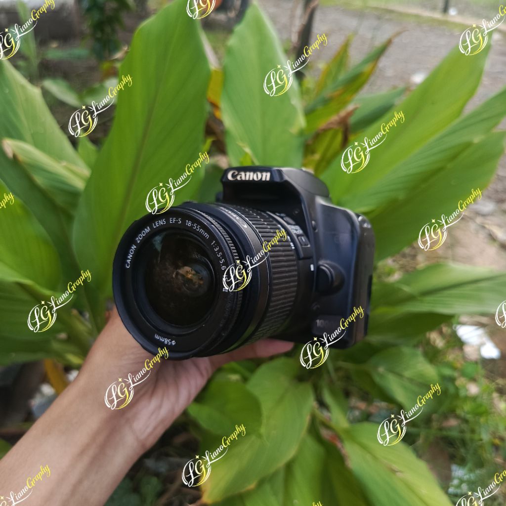 Canon 1000d Eror 01 bekas/second