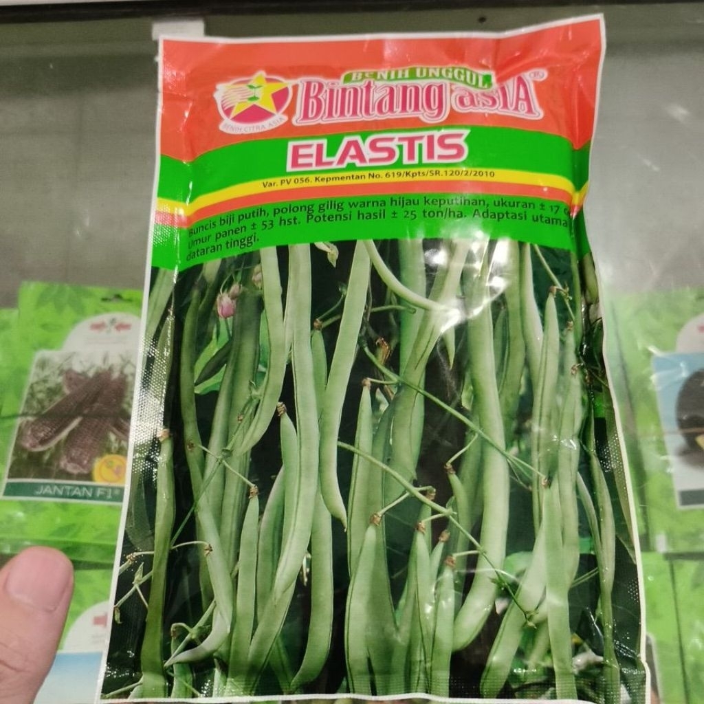 Benih Buncis Elastis 500 gr