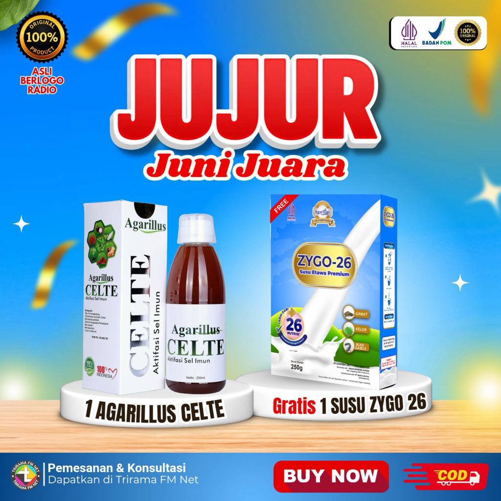 Promo Agarillus Celte Berlogo Radio Beli 1 Gratis 1