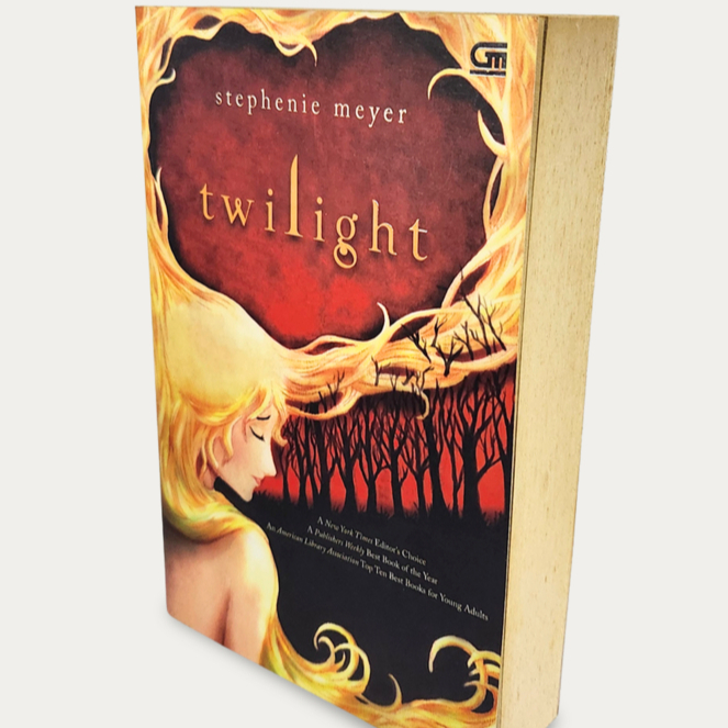 Buku Novel Twilight Stephenie Meyer Original Preloved Bekas