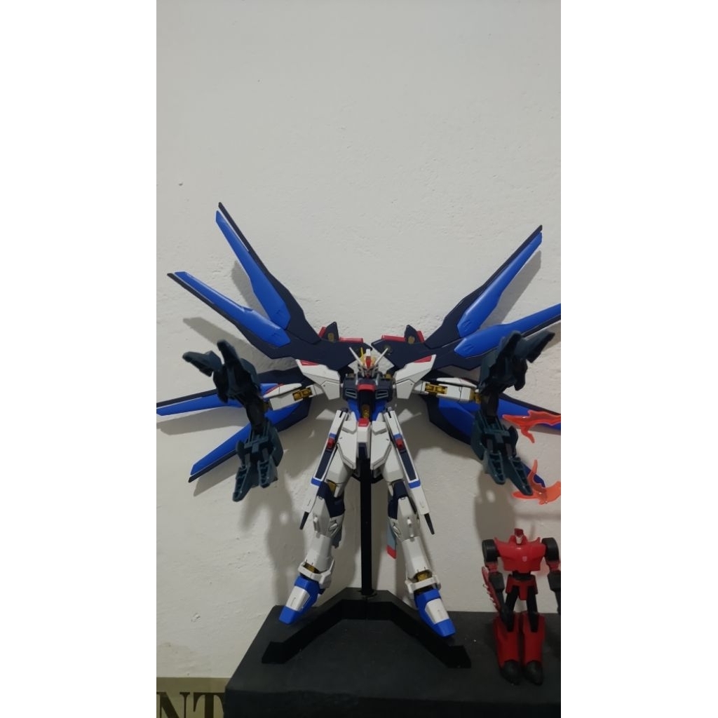 HG freedom bandai