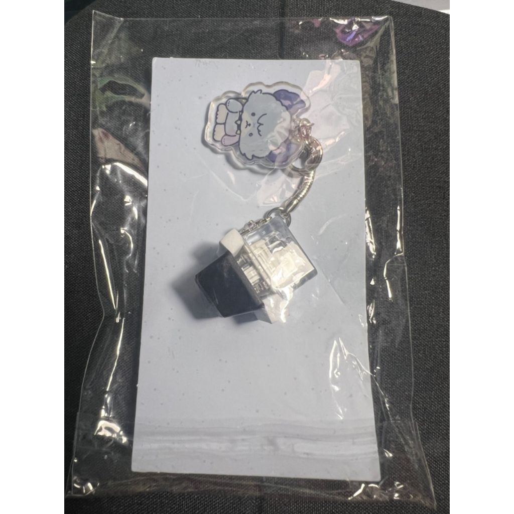 [SEALED] KEYCAP JOOYEON JUFF XDINARY HEROES MERCH BYUMA BEAUTIFUL MIND 2025 (KICK OFF)