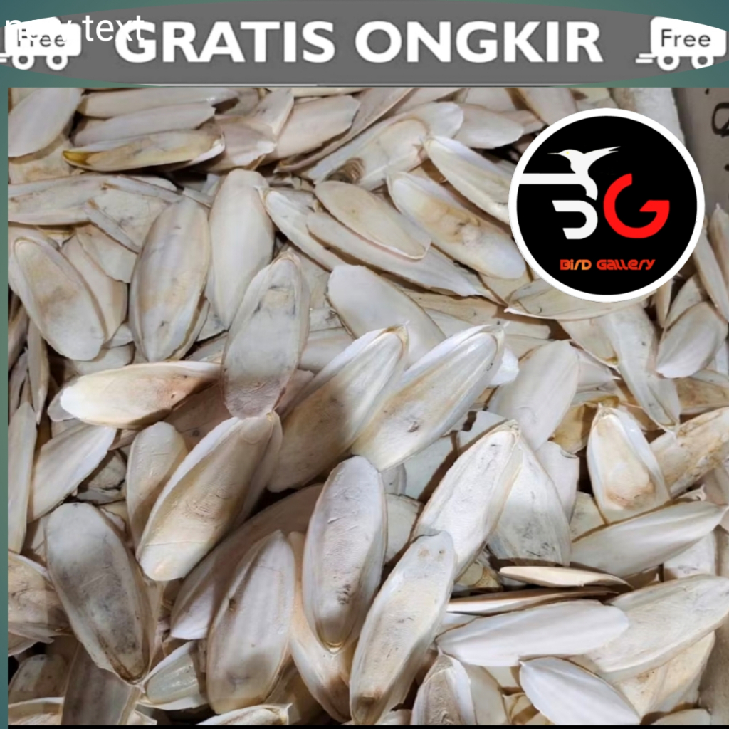 TULANG SOTONG ASINAN BURUNG LOVEBIRD ASINAN BURUNG KENARI -+ 10 - 12 CM