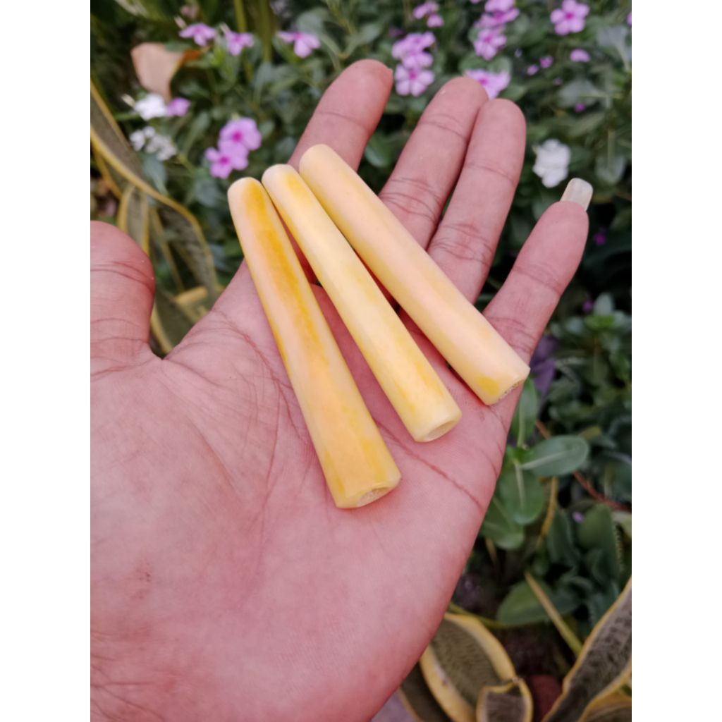 once pipa tulang lawasan gading treatment rempah rempah asli