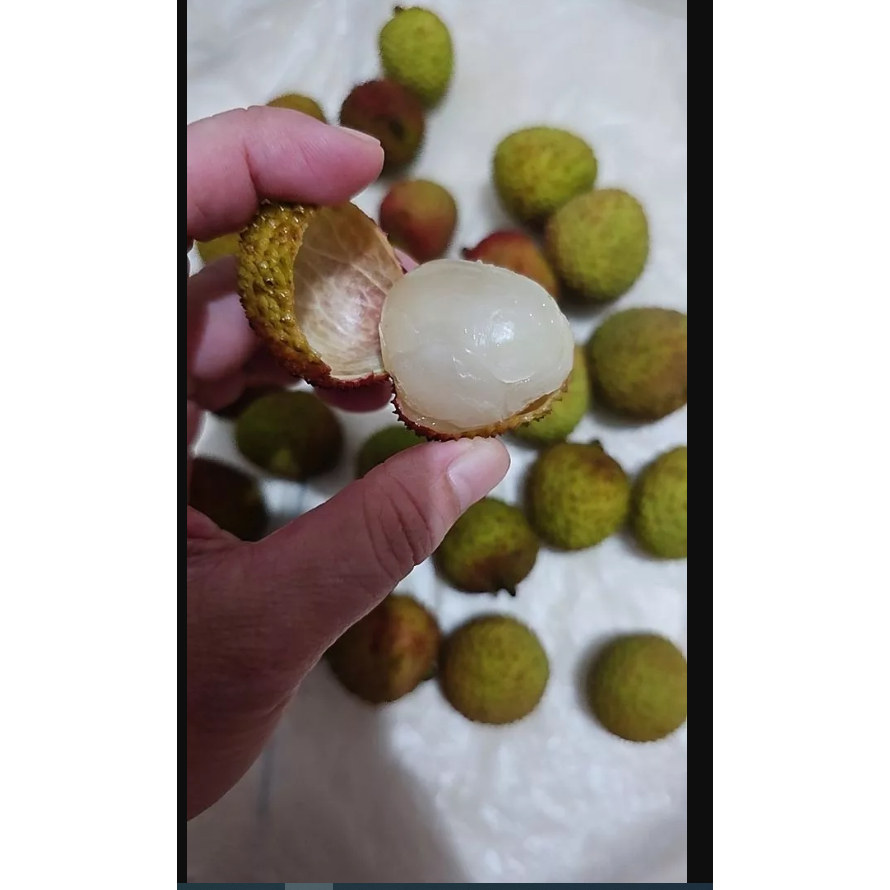 uah Leci Lychee Madu import Fresh Manis impor honey 1kg 009-PPO