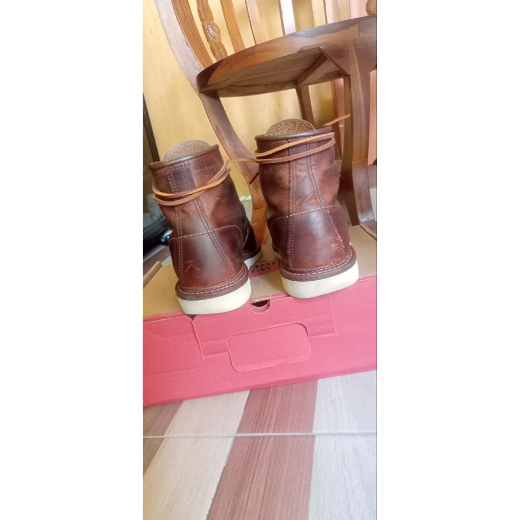 Redwing 1907