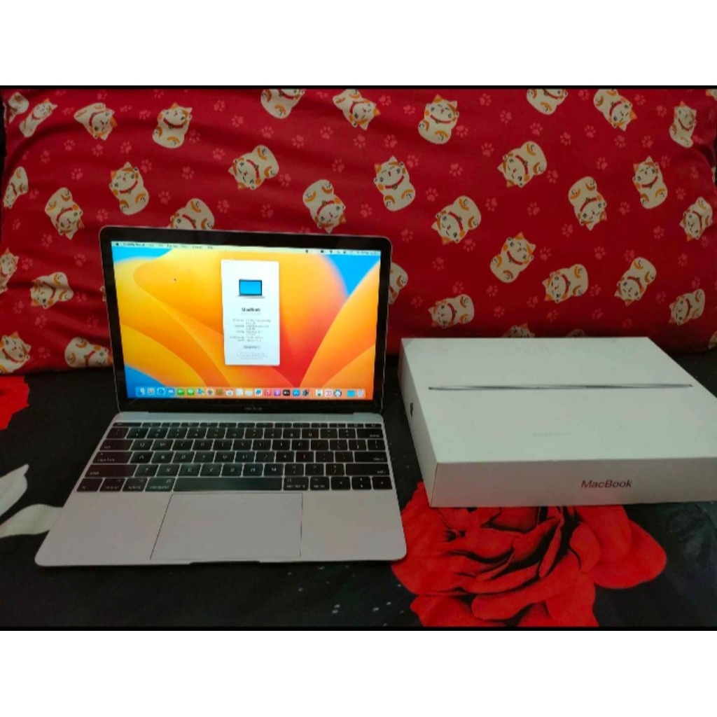 macbook retina 12 2017