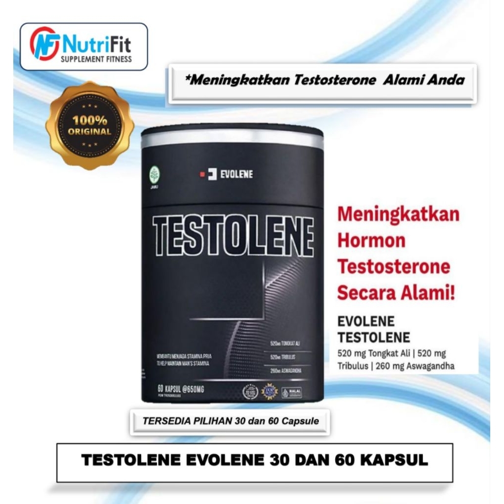 TESTOLENE / EVOBOOST EVOLENE KAPSUL
