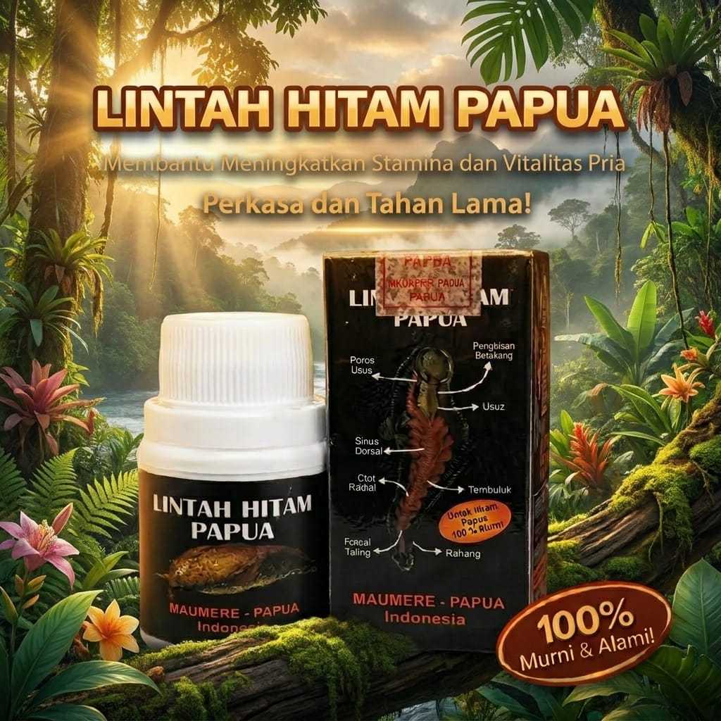 TERLARIS Minyak lintah Hitam Papua Asli